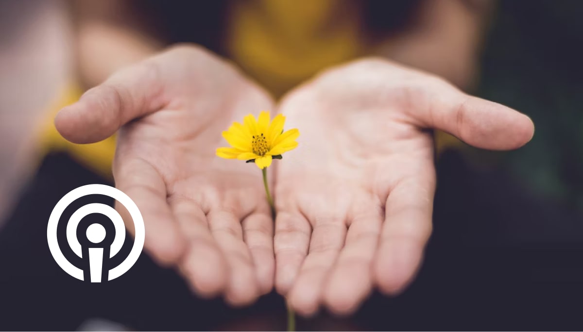 A person holding a yellow flower in their hand